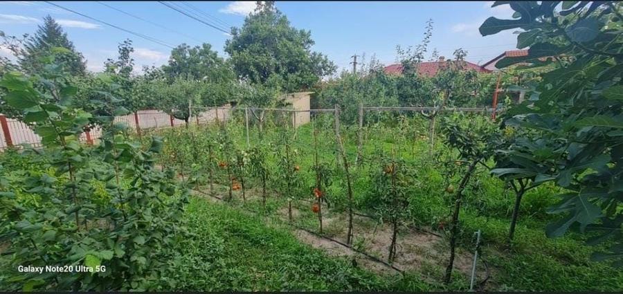 Casă cu 4 camere în Zilișteanca