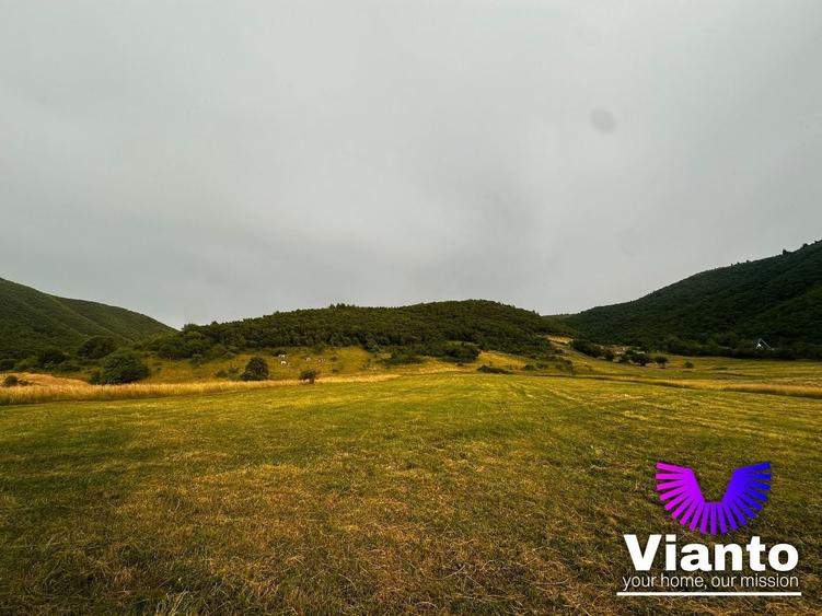 Teren agricol extravilan de 3408 mp, în Gura Râului