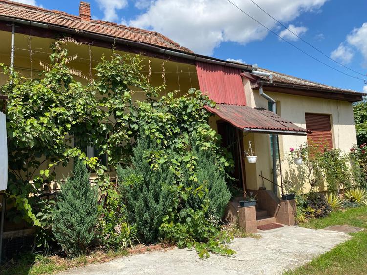Casă cu 3 camere în Central
