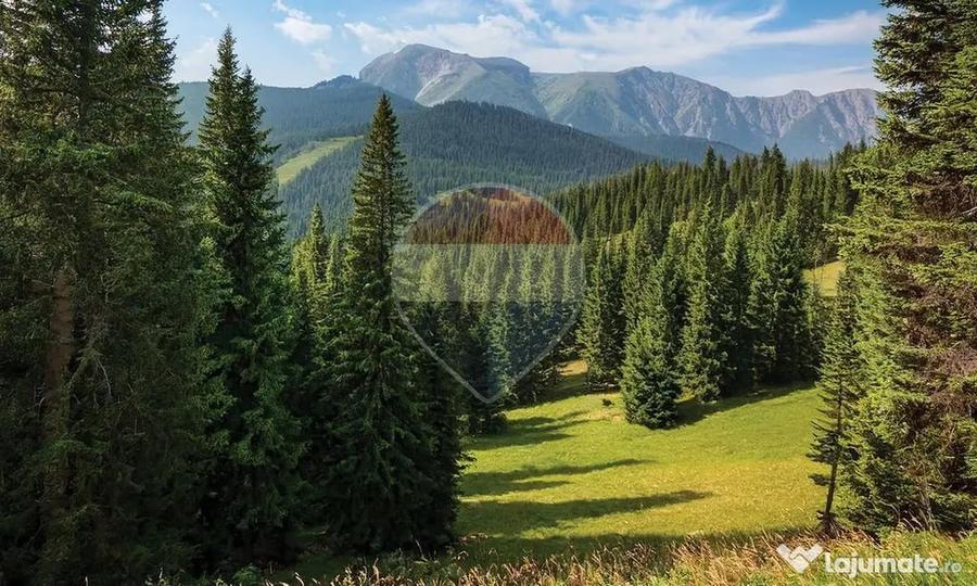 Garsonieră semidecomandată în Poiana Brașov