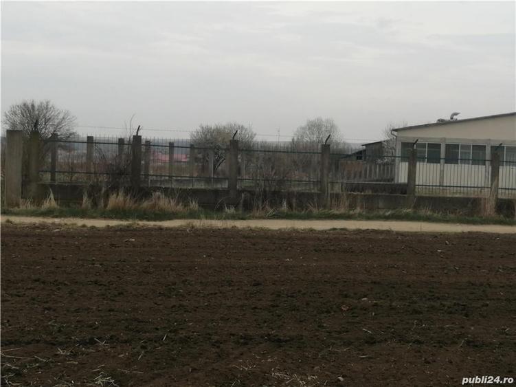 Teren de 8800 mp, în Vinerea
