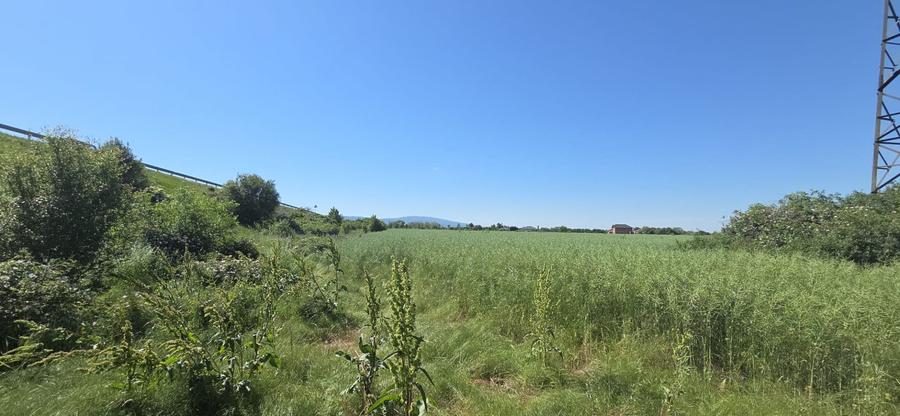 Teren Construcții intravilan de 5255 mp, în Nord