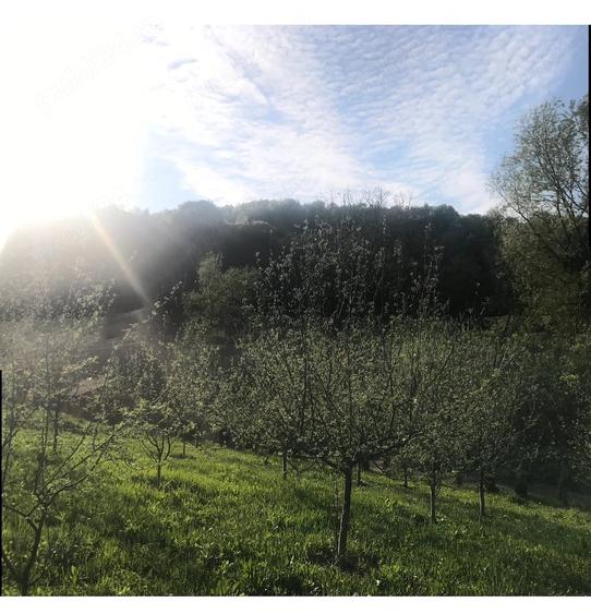 Casă cu 4 camere cu Teren 4400 Mp în Vlădești