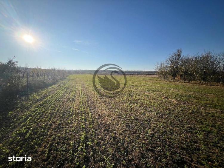 Teren de 12650 mp, în I. L. Caragiale
