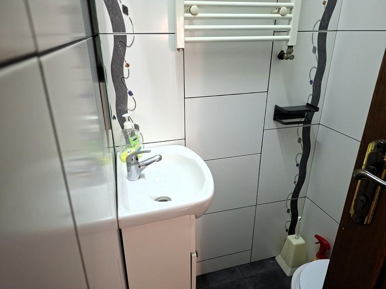 Casă individuală cu 10 camere cu Garaj în Doamna Ghica