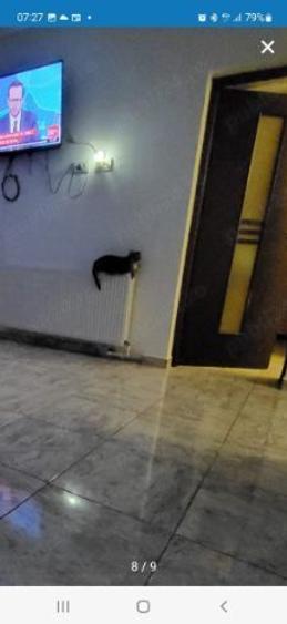 Casă individuală cu 5 camere cu Teren 300 Mp în Măgurele
