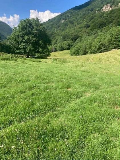 Teren Construcții intravilan de 4000 mp, în Râu de Mori