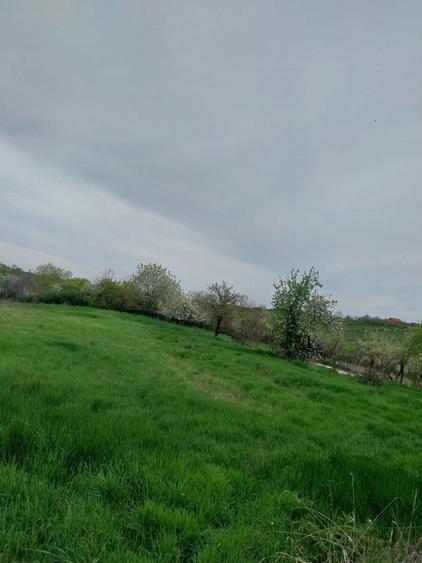 Casă cu 2 camere în Sititelec