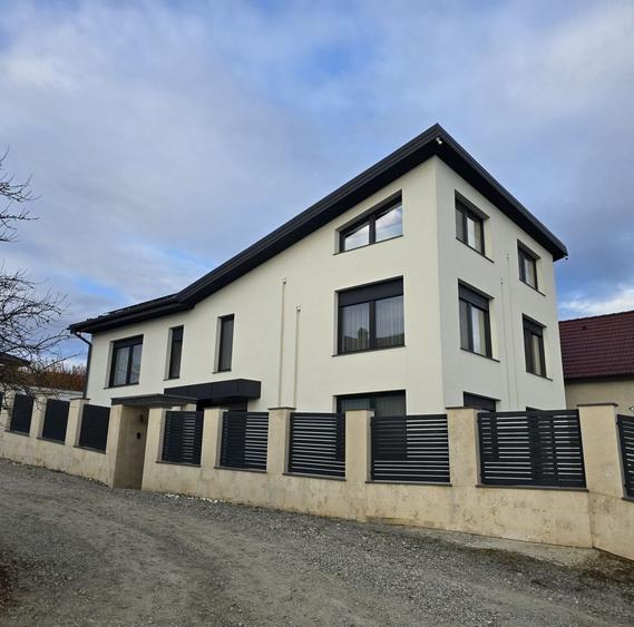 Casă cu 4 camere în Petru Rareș