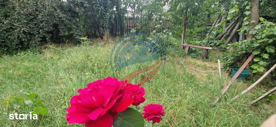 Casa parter cu teren generos de 595 mp, in ?imnicul de Jos Craiova - 15