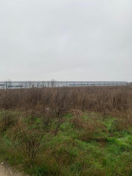 Teren Construcții intravilan de 44000 mp, în Dascălu