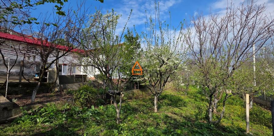 Teren Construcții intravilan de 1024 mp, în Bucium