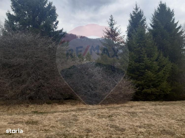 Spațiu comercial, în Părău