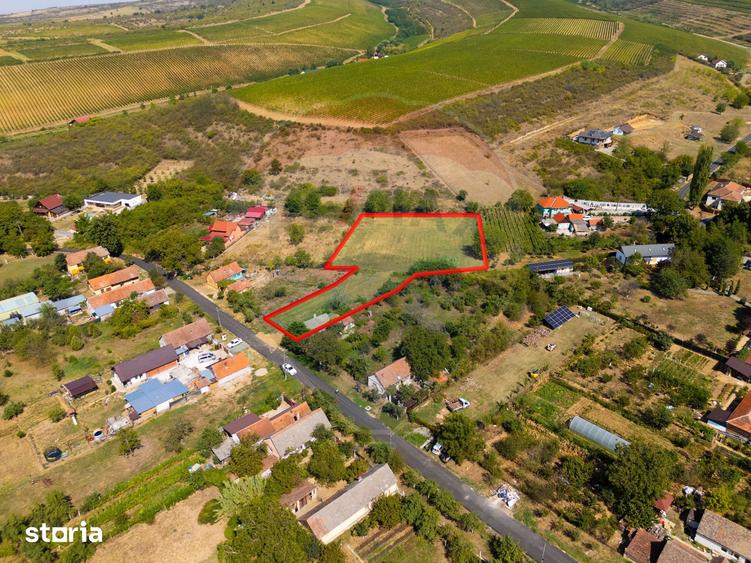 Teren de 4184 mp, în Ghioroc
