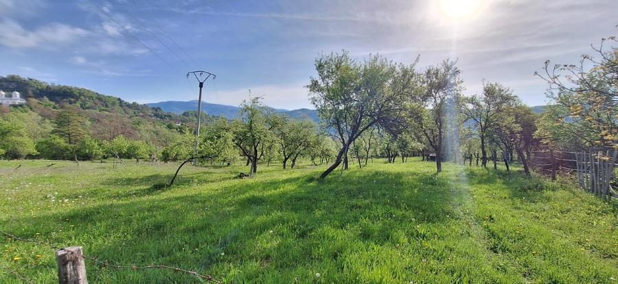 Teren agricol extravilan de 4445 mp, în Nucșoara
