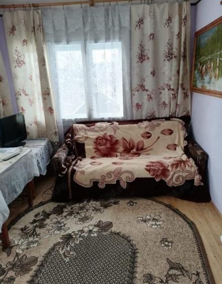 Casă cu Teren 3500 Mp în Vișeu de Jos