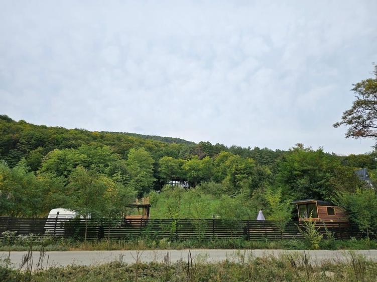 Teren intravilan de 1000 mp, în Central