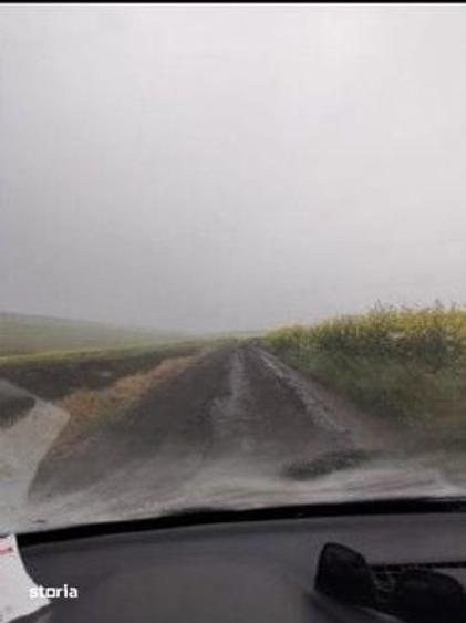 Teren de 15900 mp, în Probota