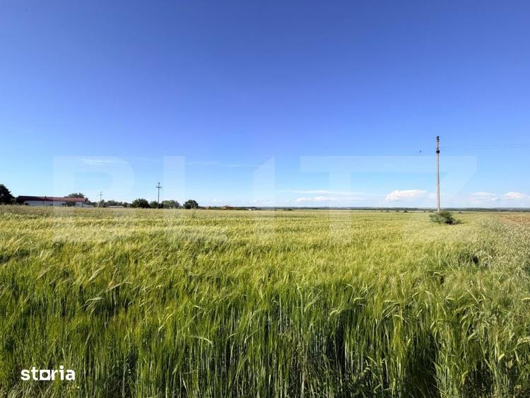 Teren de 9550 mp, în Brazda lui Novac