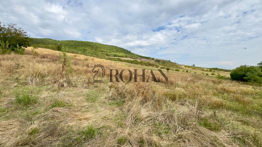 Teren agricol extravilan de 4000 mp, în Cricău