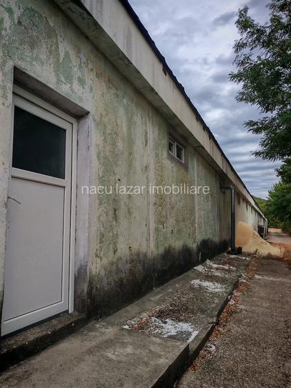 Hala 1200 mp utili,curent electric ,apa, canalizare,teren -curte 3619 mp, 180.000 euro negociabil