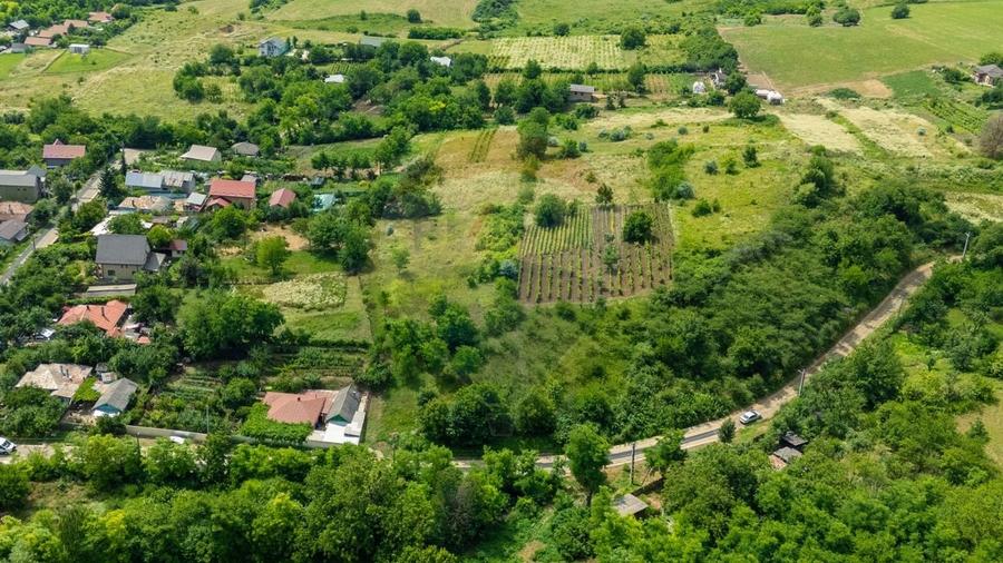 Teren Construcții intravilan de 8841 mp, în Uricani