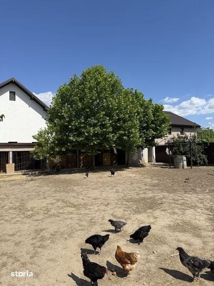 Teren de 950 mp, în Cazasu