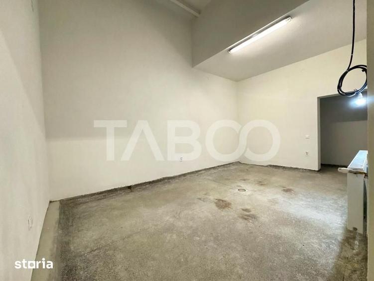 Spațiu comercial, de 387 mp, în Terezian
