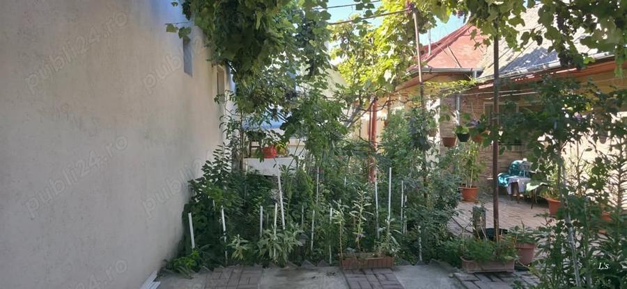 Casă cu 6 camere cu Teren 230 Mp în Viile Noi