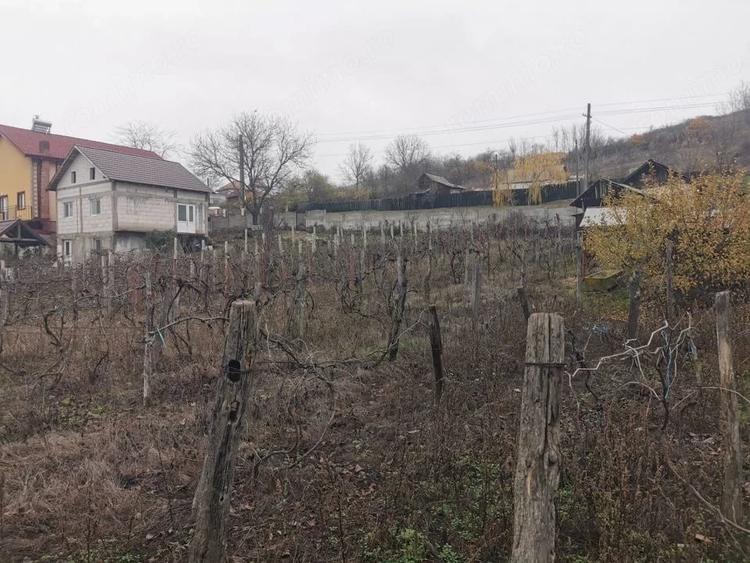Casă cu 4 camere cu Teren 7000 Mp în Argetoaia