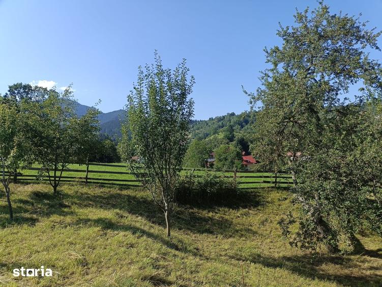 Teren de 3980 mp, în Bran