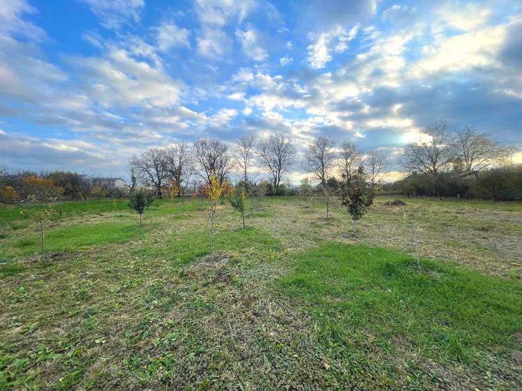 Teren Construcții intravilan de 2200 mp, în Pâclișa