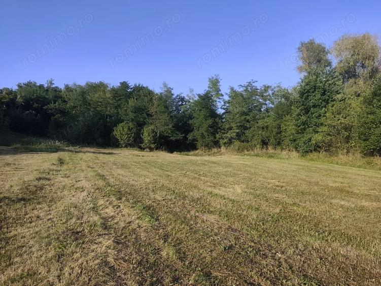 Teren de 2631 mp, în Malu Mierii