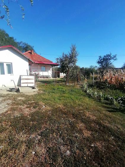 Casă cu 3 camere cu Teren 8600 Mp în Bumbești-Pițic