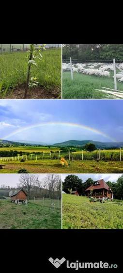 Apartament decomandat în Leucușești