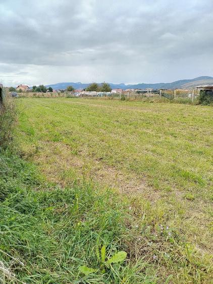Teren de 1460 mp, în Mihai Viteazu