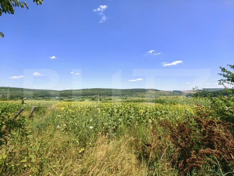 Teren Construcții intravilan de 3150 mp, în Schitu Duca