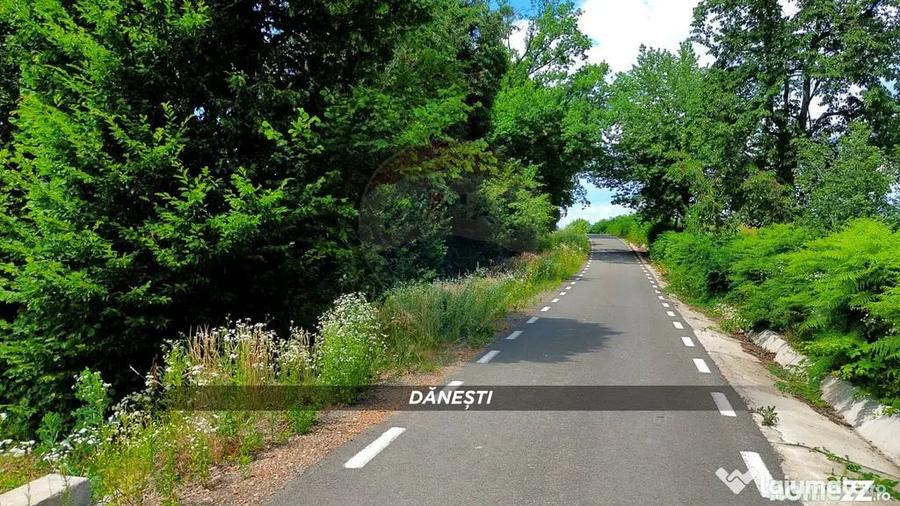 Teren intravilan 6115mp | Danesti, Maramures | Oportunita... - 3