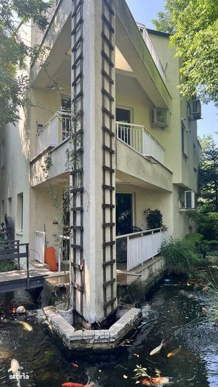 Inchiriere Vila Floreasca -spatiu versatil pentru diferite activitati - 5