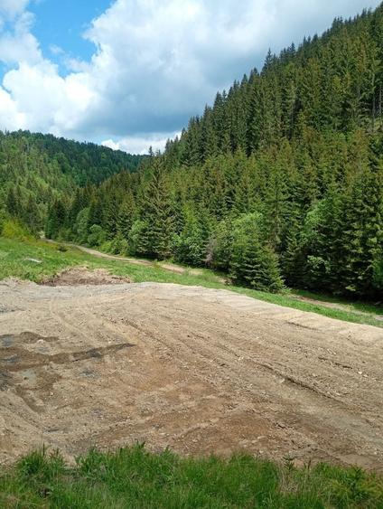 Teren de 3100 mp, în Muntele Băișorii