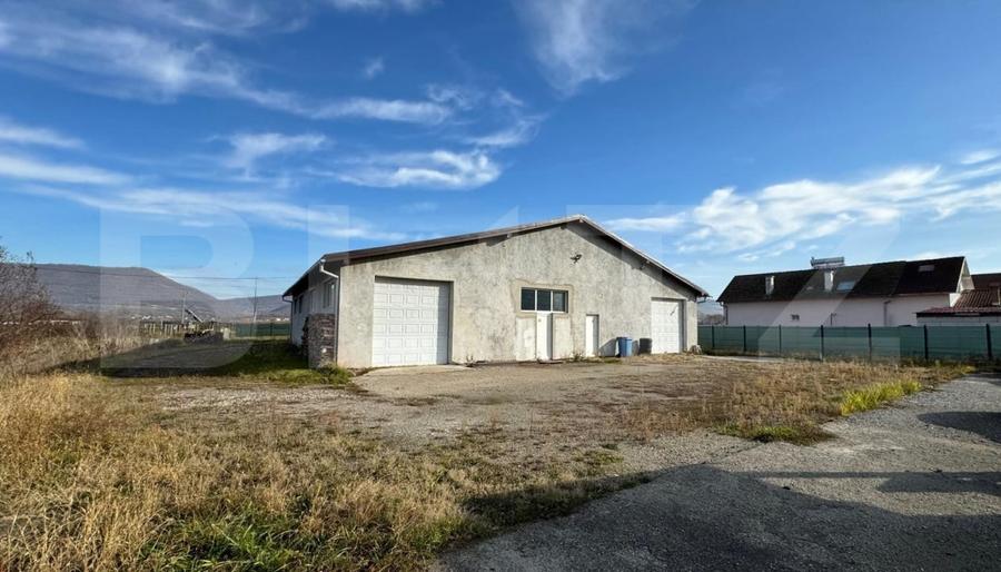 Afacere la cheie, casa de locuit si 28 ari de teren in Arcalia - 7