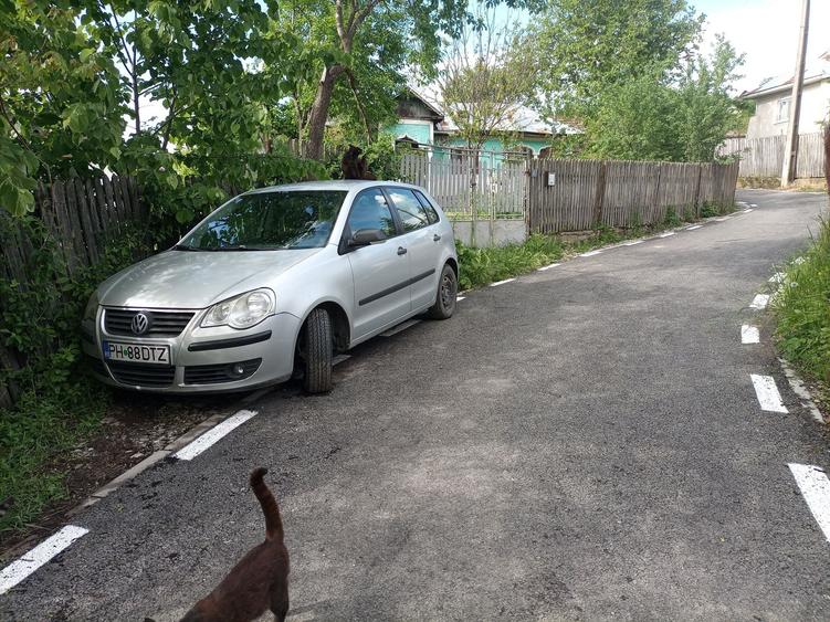 Casă cu 3 camere în Coșerele