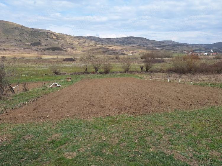 Casă cu 2 camere cu Teren 1600 Mp în Bidiu