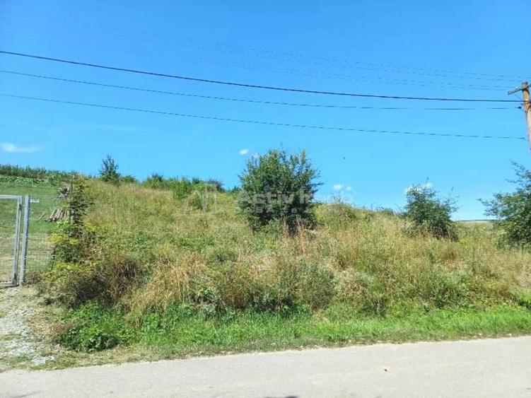 Teren de 2000 mp, în Ciurila