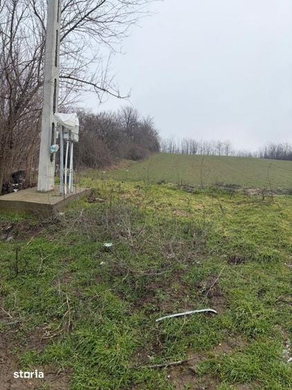 Teren de 6700 mp, în Central