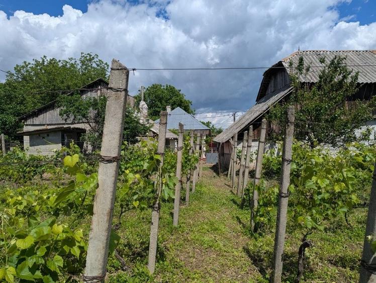 Casă cu 3 camere în Păunești