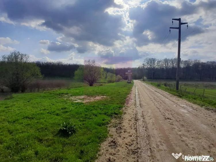 Teren în Buturugeni