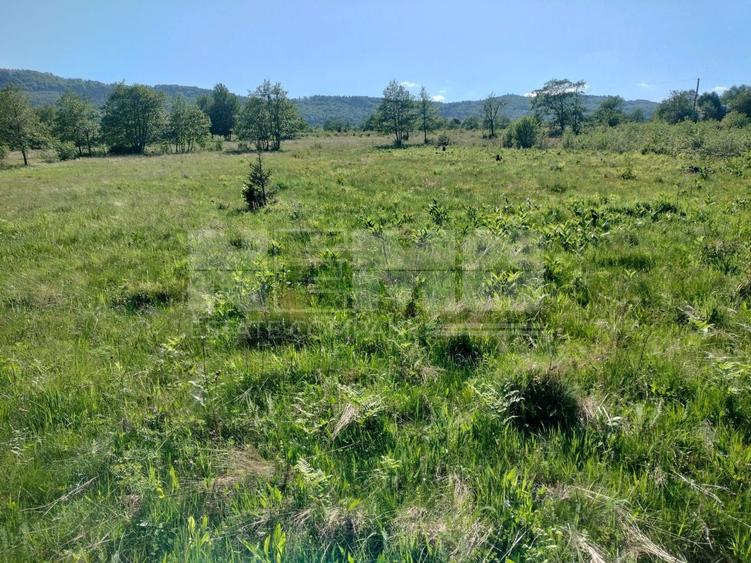 Teren Construcții extravilan de 5000 mp, în Vicovu de Jos