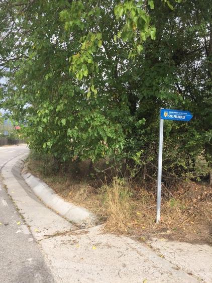 Teren agricol extravilan de 2250 mp, în Budești