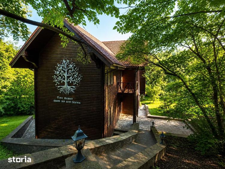 Mountain Chalet | Private Resort | Investment - Nistoresti - 8